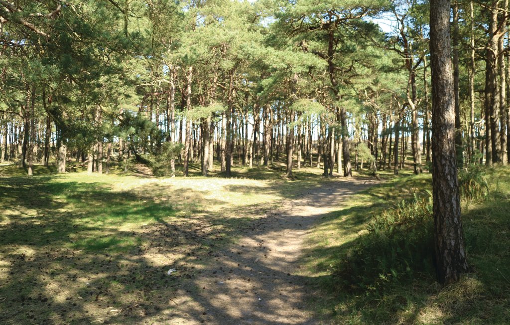 Ferienhaus - Breege/Juliusruh , Deutschland - DMR306 13