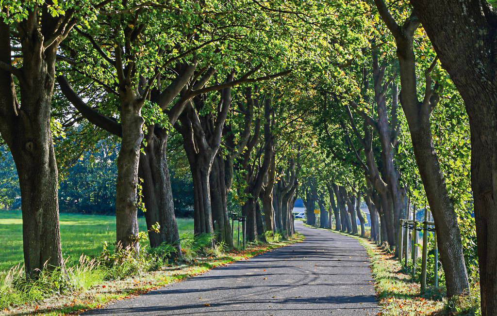 Ferieleilighet - Altefähr/Rügen , Tyskland - DMR645 9
