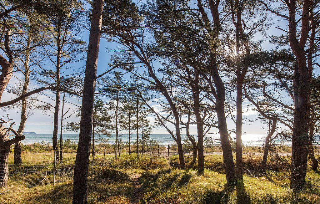 Semesterlägenhet - Prora/Rügen , Tyskland - DMR861 23