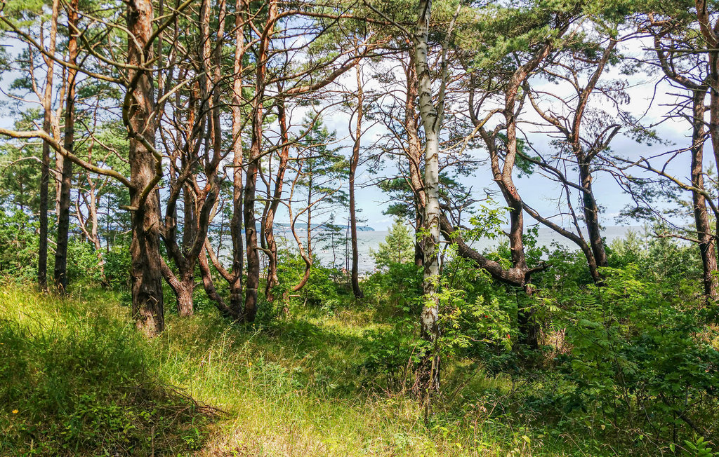 Ferieleilighet - Ostseebad Binz/ Prora , Tyskland - DMR443 16