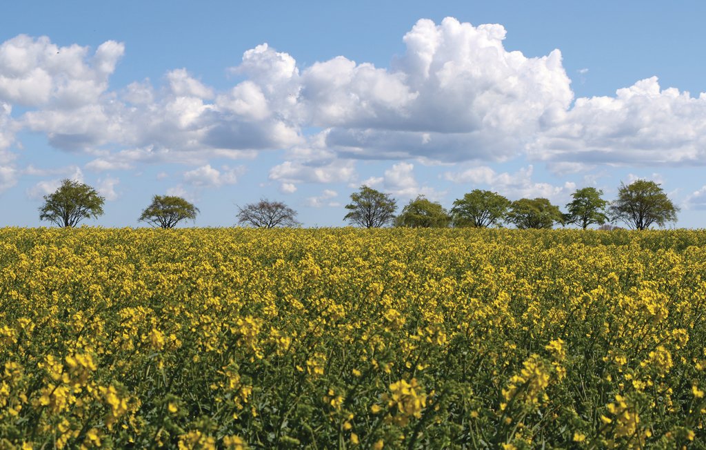 Feriehus - Altefähr/Rügen , Tyskland - DMR632 28