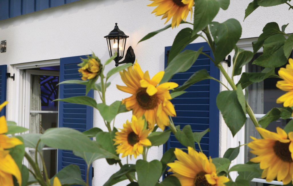 Feriehus - Altefähr/Rügen , Tyskland - DMR633 9