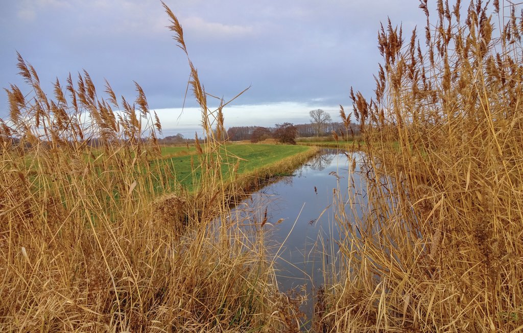 Feriehus - Fischerdorf Zirchow/Usedom , Tyskland - DMU173 31