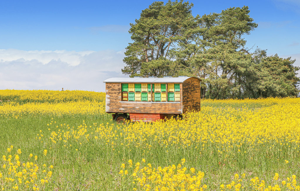 Feriehus - Fischerdorf Zirchow/Usedom , Tyskland - DMU275 25