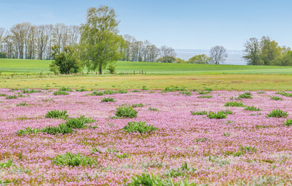 Ferienhaus - Fischerdorf Zirchow/Usedom , Deutschland - DMU276 19