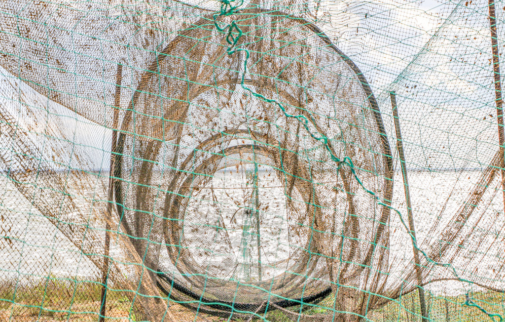 Feriehus - Fischerdorf Zirchow/Usedom , Tyskland - DMU275 22