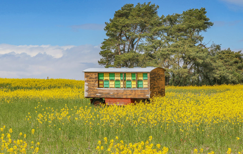 Ferienhaus - Fischerdorf Zirchow/Usedom , Deutschland - DMU276 18