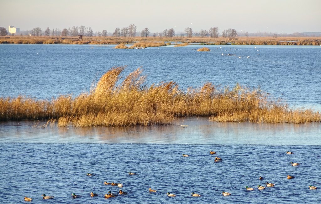 Feriehus - Fischerdorf Zirchow/Usedom , Tyskland - DMU173 28