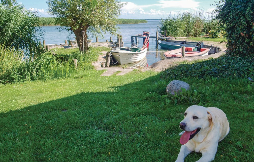 Feriehuse - Usedom , Tyskland - DMU203 13