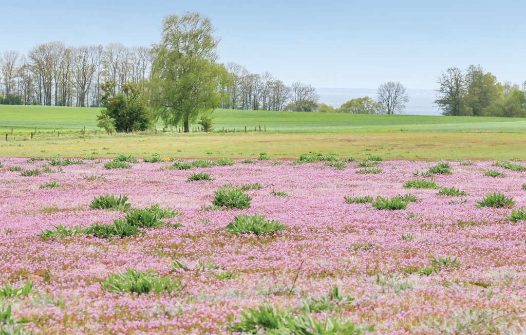 Feriehus - Fischerdorf Zirchow/Usedom , Tyskland - DMU173 40