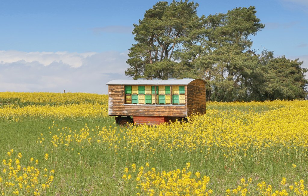 Ferienhaus - Fischerdorf Zirchow/Usedom , Deutschland - DMU175 34