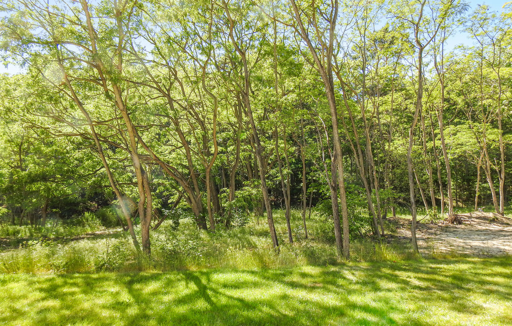 Feriehuse - Fischerdorf Zirchow/Usedom , Tyskland - DMU277 13