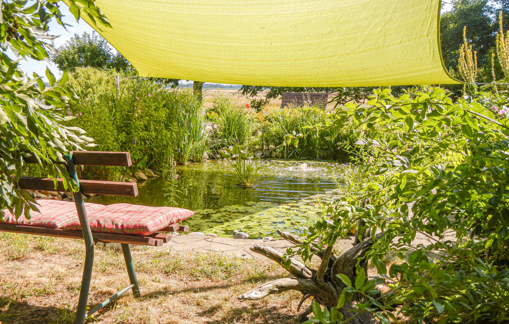 Ferienwohnung - Lütow , Deutschland - DMU134 8