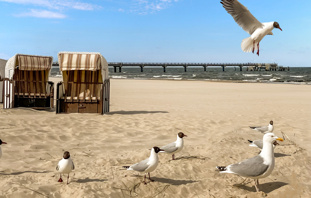 Ferienhaus - Fischerdorf Zirchow Süd/Usedom , Deutschland - DMU197 22