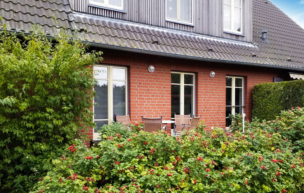 Lejlighed - Ostseebad Koserow , Tyskland - DMU236 1