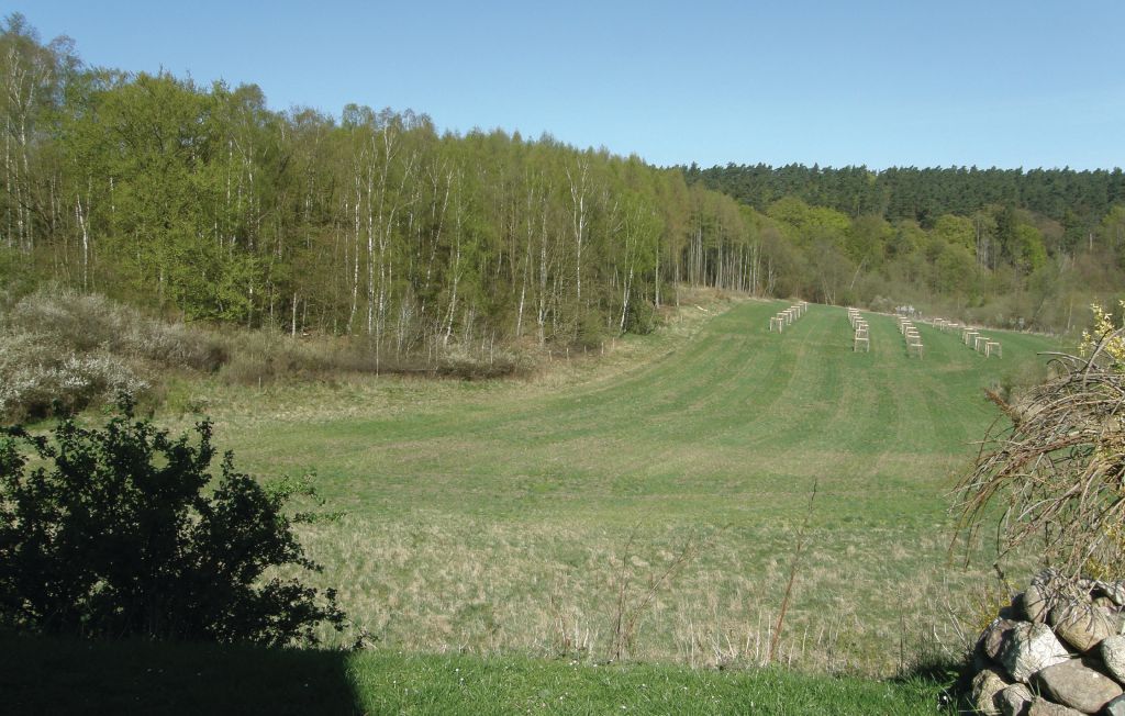 Feriehus - Ankershagen/Bocksee , Tyskland - DMV457 11