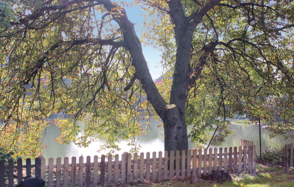 Feriehus - Gnoien/Dölitz , Tyskland - DMV429 2