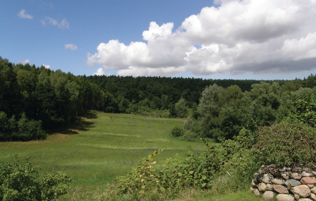 Feriehus - Ankershagen/Bocksee , Tyskland - DMV457 12