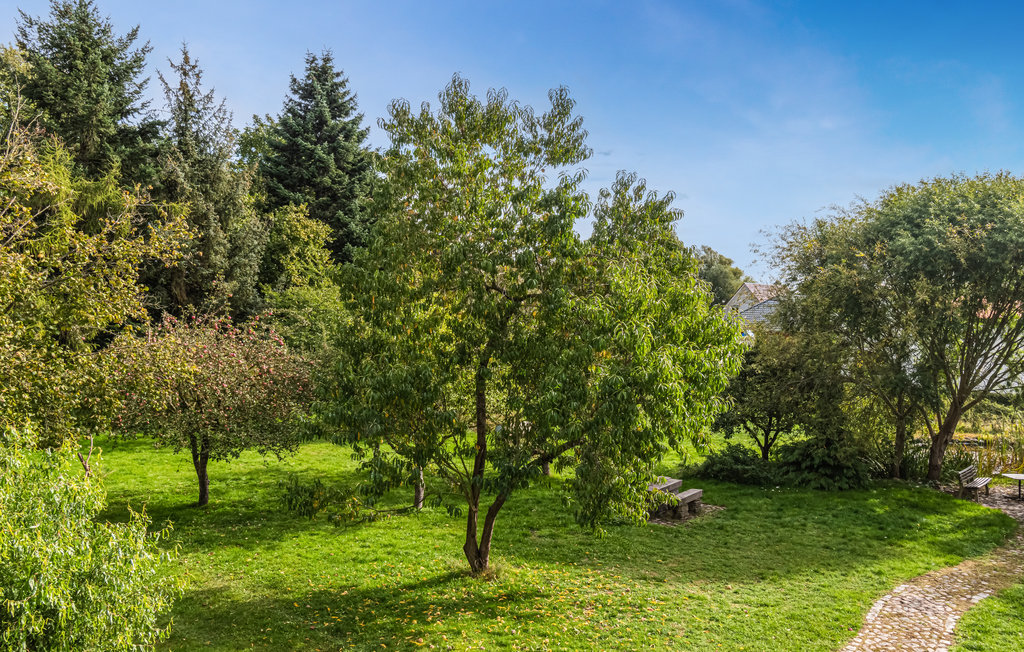 Ferienhaus - Neukloster , Deutschland - DMV502 12
