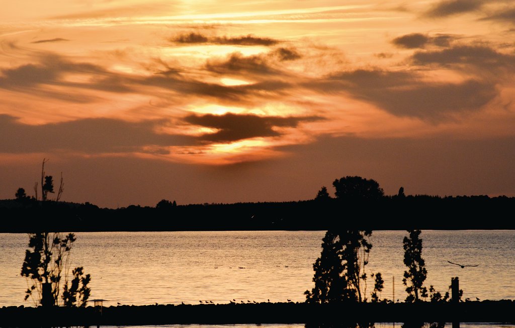 Semesterlägenhet - Rechlin/Müritz , Tyskland - DMV844 6