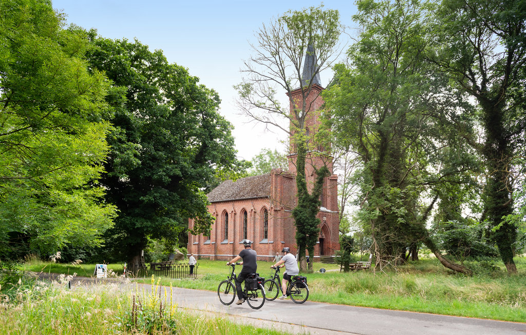 Ferieleilighet - Rechlin/Müritz , Tyskland - DMV882 30