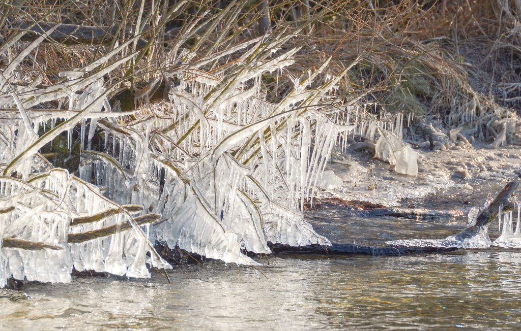 Semesterlägenhet - Rechlin/Müritz , Tyskland - DMV844 45