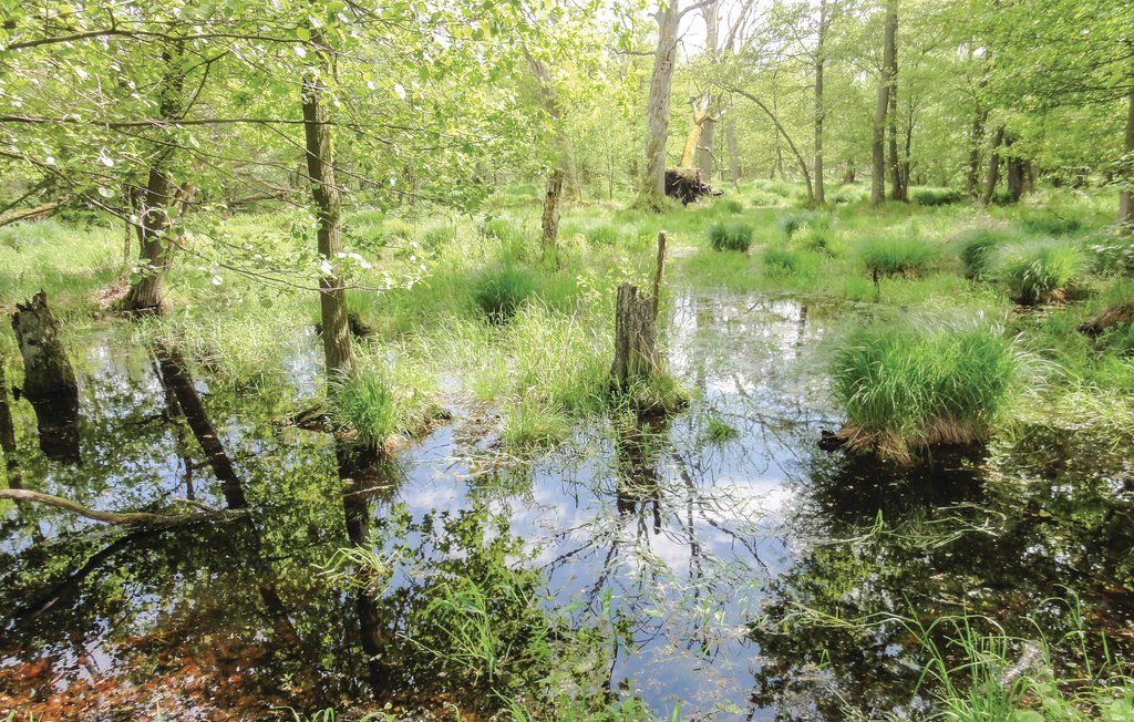 Semesterlägenhet - Rechlin/Müritz , Tyskland - DMV844 42