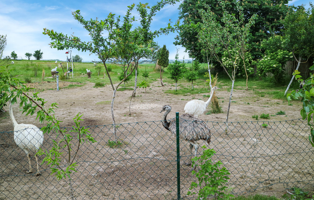 Ferieleilighet - Rostock , Tyskland - DMV498 9