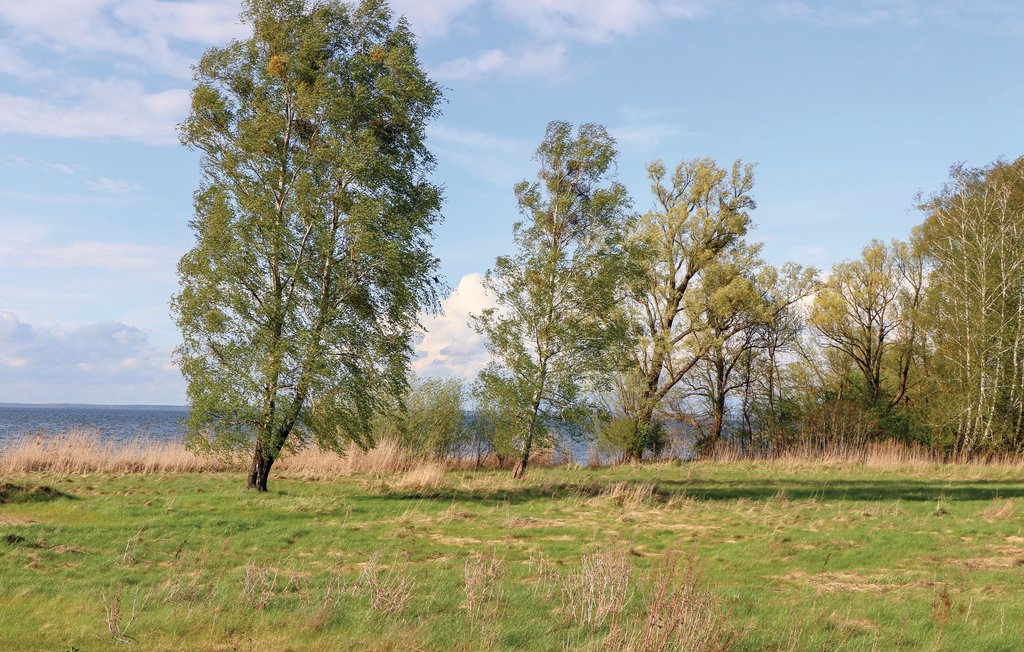 Ferieleilighet - Rechlin/Müritz , Tyskland - DMV861 29