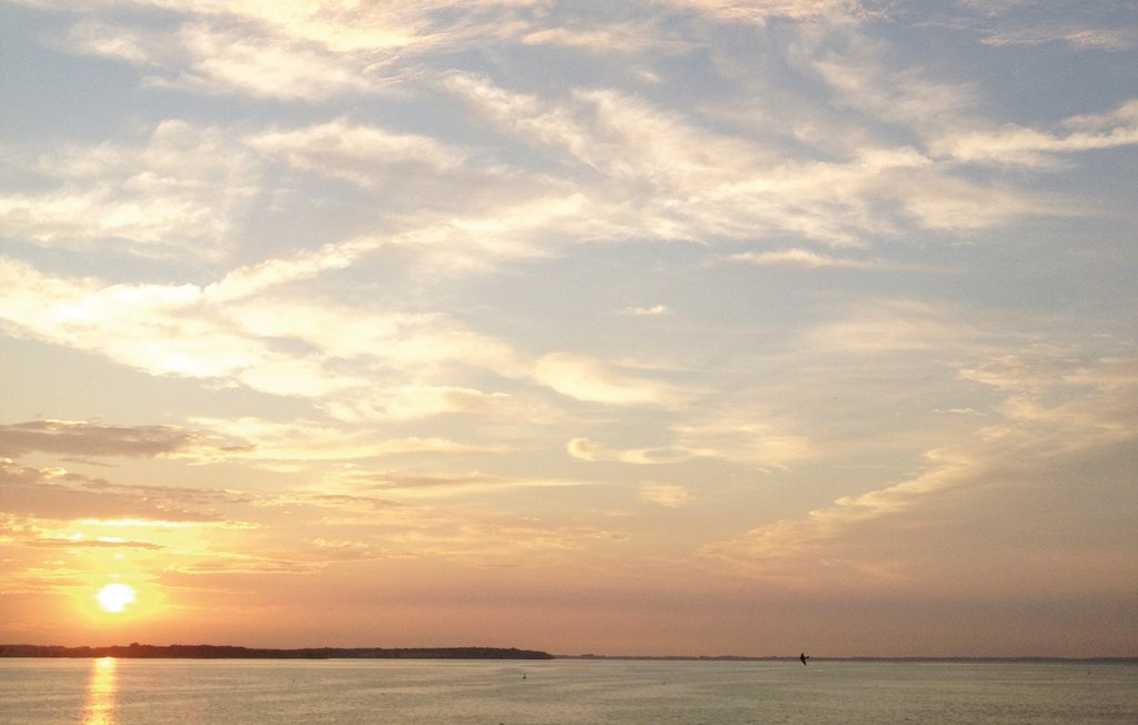 Ferieleilighet - Rechlin/Müritz , Tyskland - DMV864 24