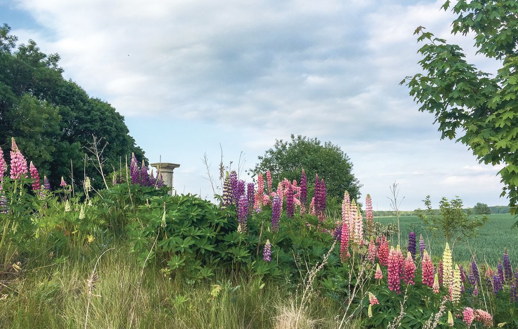 Feriehus - Liepen/Eichhorst , Tyskland - DMV179 13
