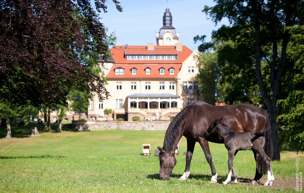 Feriehus - Kuhlen-Wendorf , Tyskland - DMV494 20
