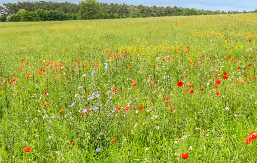 Lejlighed - Rechlin/Müritz , Tyskland - DMV885 29