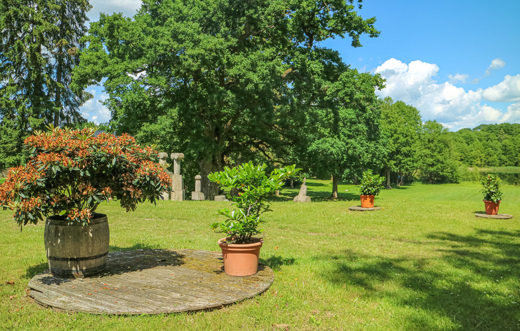 Ferieleilighet - Schwerin , Tyskland - DMV485 33