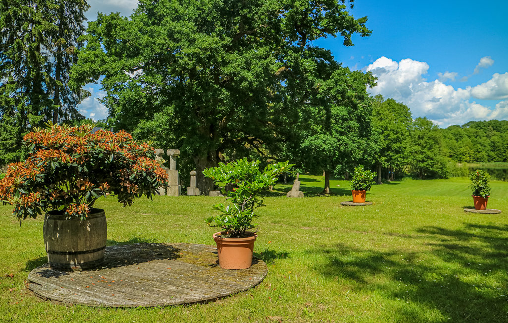 Lejlighed - Schwerin , Tyskland - DMV486 18