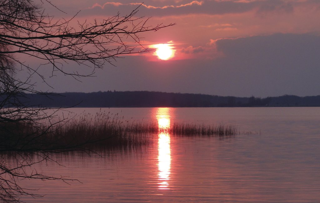 Semesterlägenhet - Rechlin/Müritz , Tyskland - DMV844 43