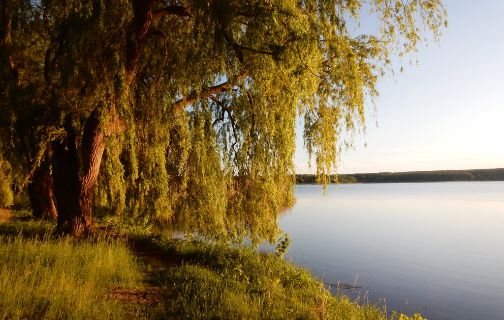 Ferienwohnung - Warin , Deutschland - DMV433 16