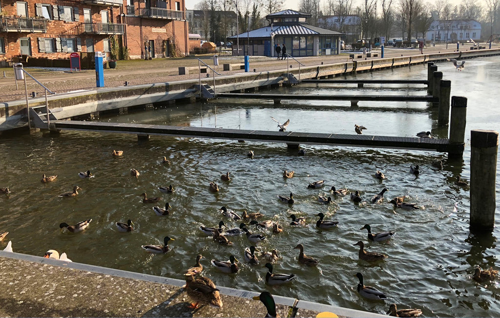 Husbåt - Neuruppin , Tyskland - DMV009 14