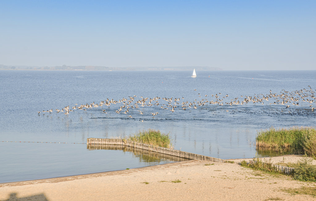 Ferieleilighet - Rechlin/Müritz , Tyskland - DMV865 30
