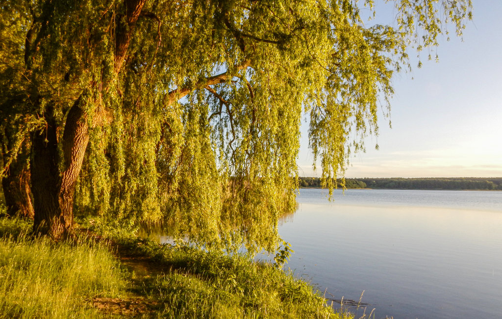 Ferieleilighet - Warin , Tyskland - DMV458 26