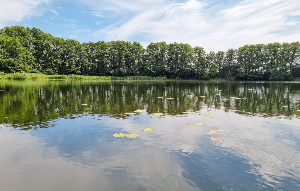 Ferieleilighet - Passow OT Charlottenhof , Tyskland - DMV576 16