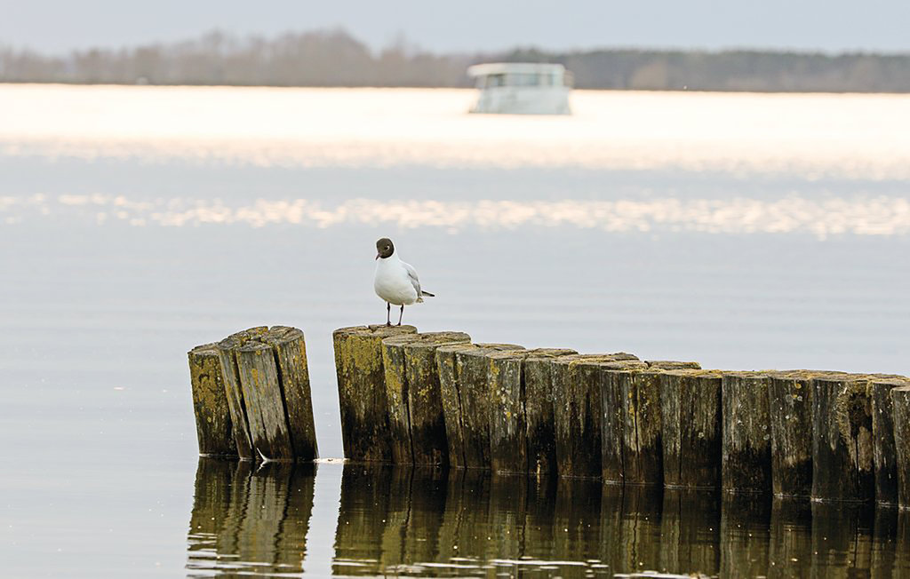 Feriehus - Rechlin/Müritz , Tyskland - DMV732 23