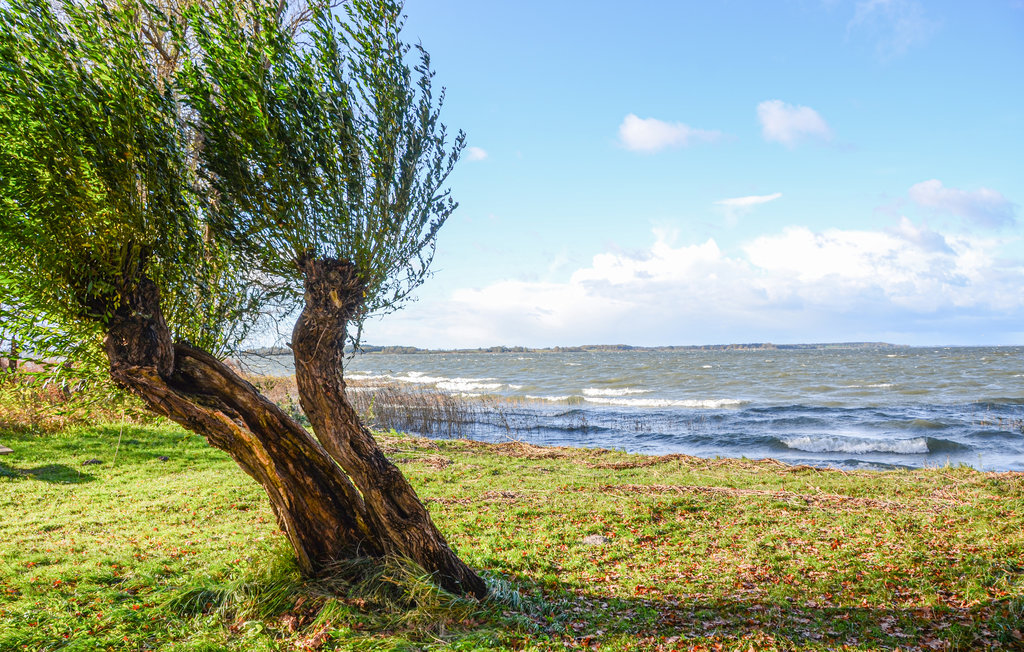 Ferieleilighet - Rechlin/Müritz , Tyskland - DMV865 26