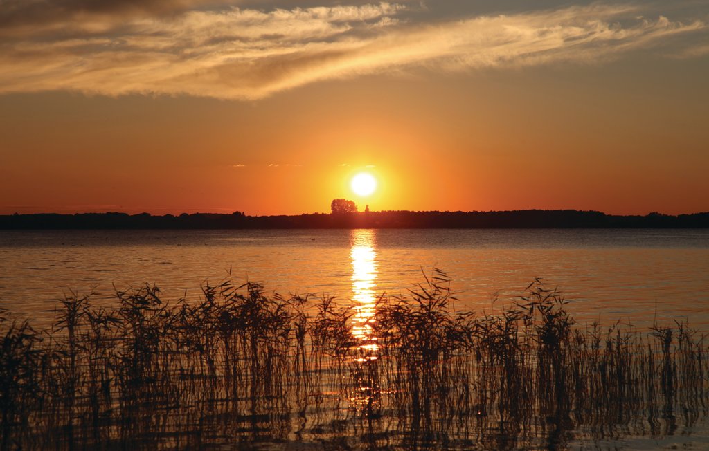 Ferieleilighet - Rechlin/Müritz , Tyskland - DMV862 26