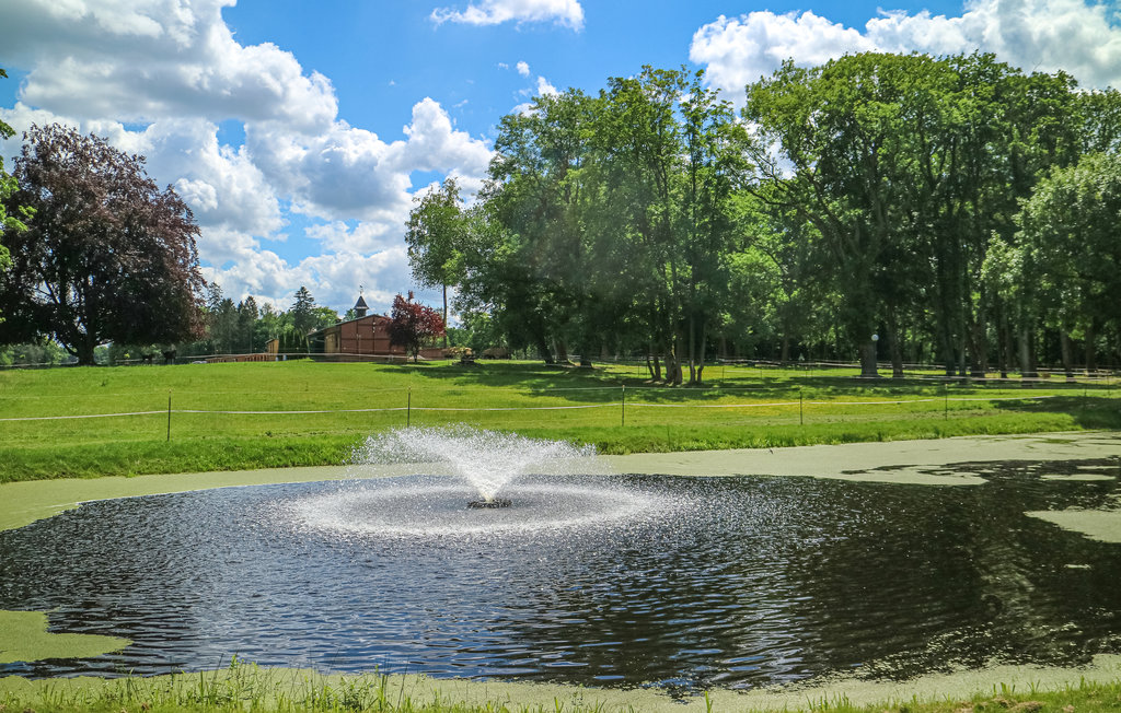 Ferieleilighet - Schwerin , Tyskland - DMV485 32