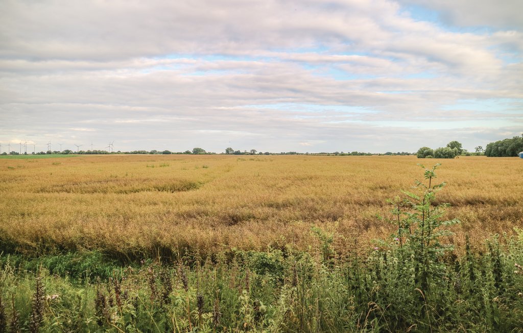 Feriehus - Liepen/Eichhorst , Tyskland - DMV179 15