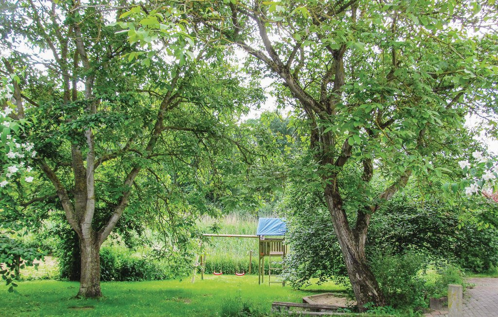 Ferienhaus - Priborn B. Röbel , Deutschland - DMV270 4