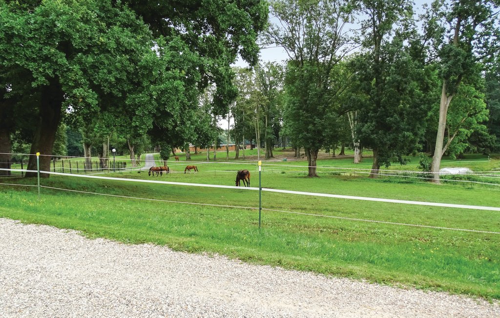 Ferienhaus - Kuhlen-Wendorf , Deutschland - DMV441 9