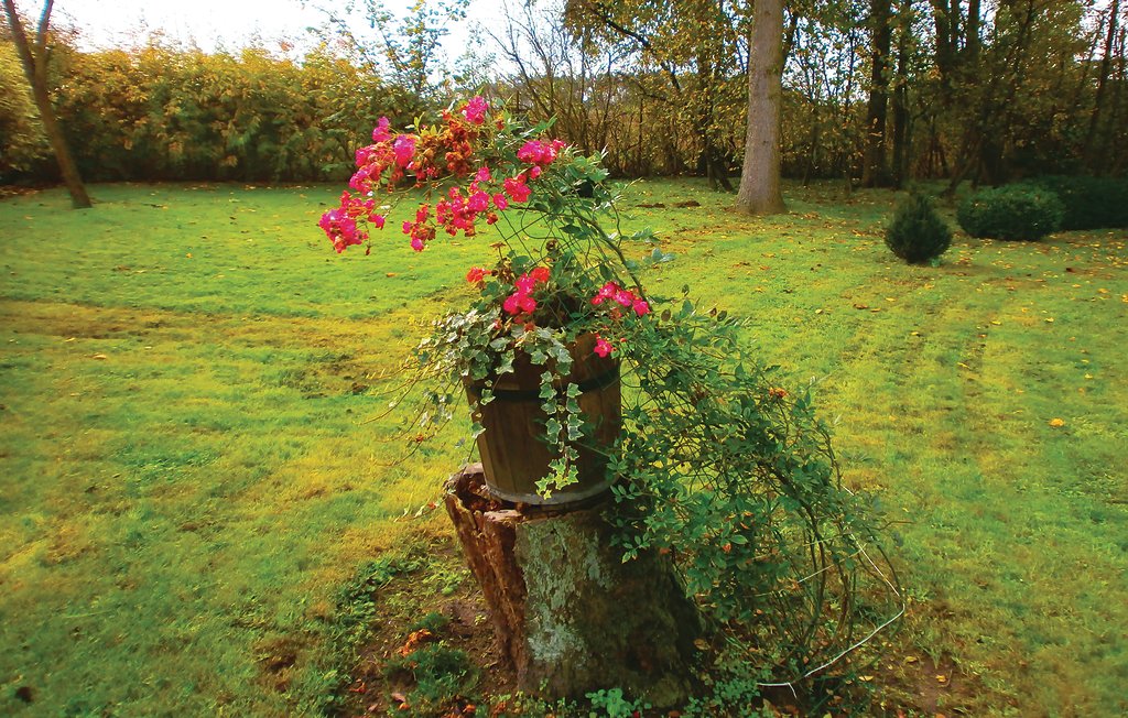 Lejlighed - Thulendorf/Sagerheide , Tyskland - DMV387 11