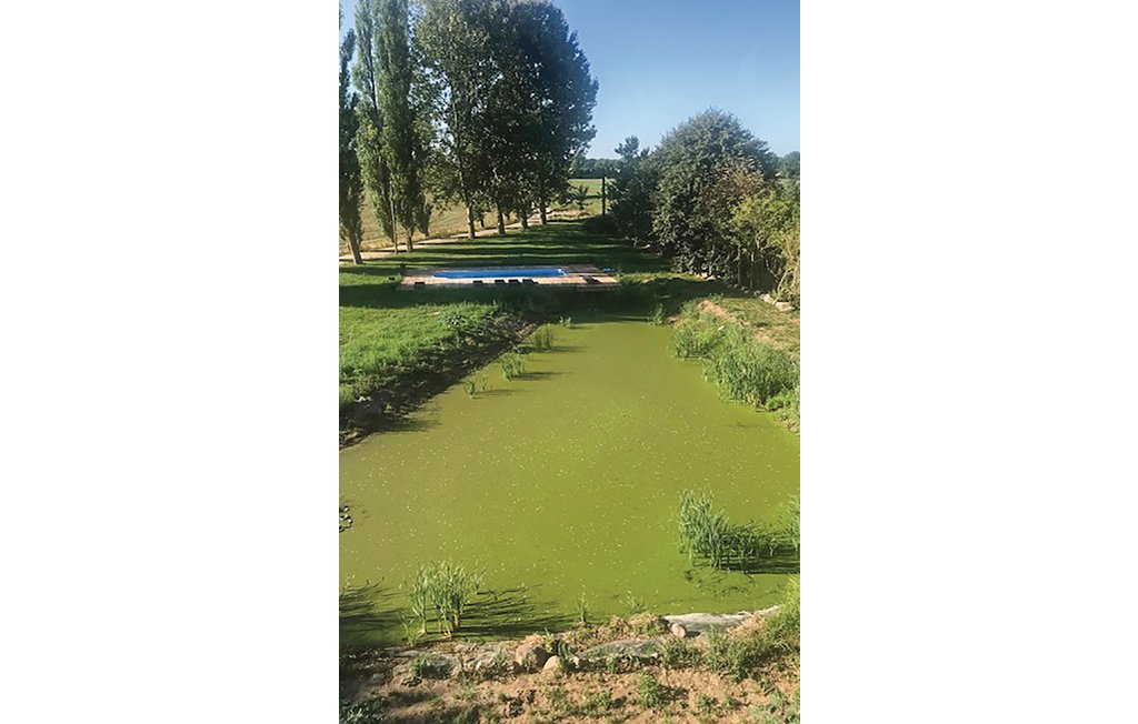 Feriehus - Dragun/Schwerin , Tyskland - DMV500 15